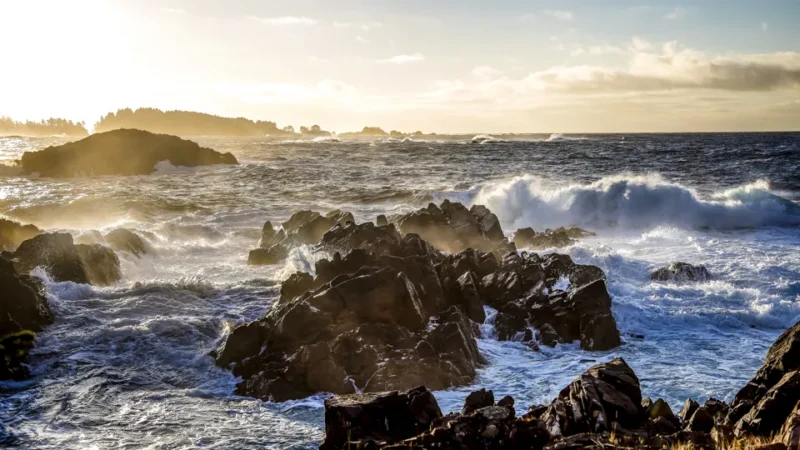 Melfort Bell Guest Suites