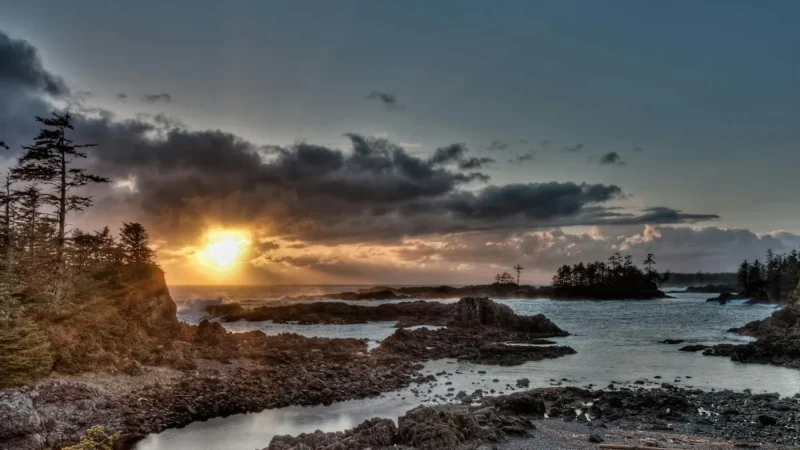 Fernbridge Cottages and Cabins