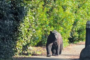 Ebb Tide Bed & Breakfast