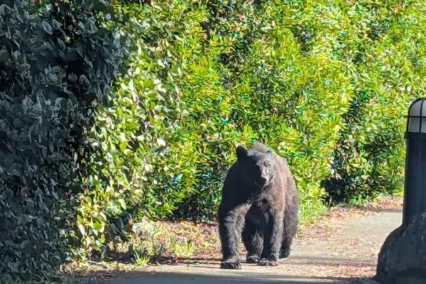 Ebb Tide Bed & Breakfast