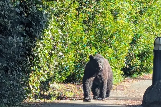Ebb Tide Bed & Breakfast