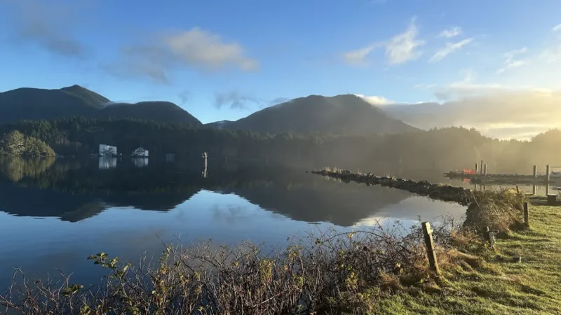 Rain In Motion Mobile Massage