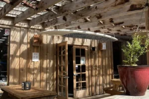 West Coast Shapes Surf Rentals – Ukee Poke – West Coast Campground