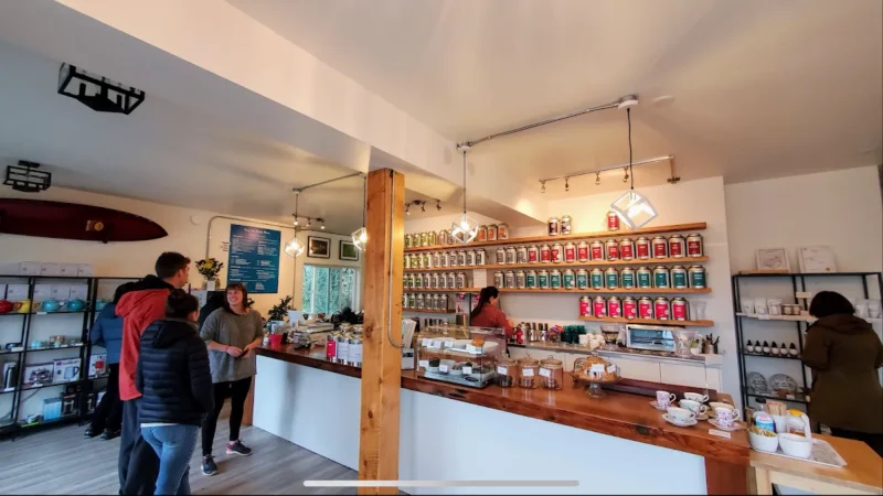 Thay Tea – Organic Loose Leaf Tea