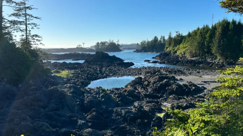 Ucluelet Lighthouse Loop