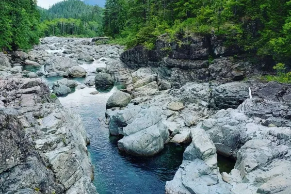 Kennedy River Bog Provincial Park
