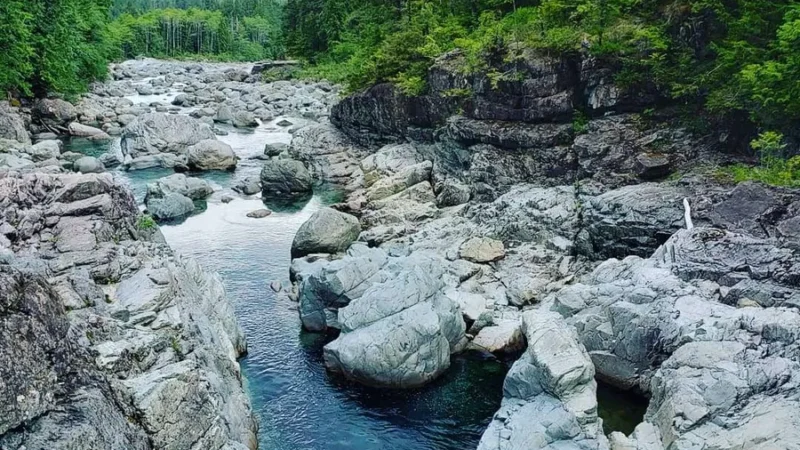 Kennedy River Bog Provincial Park