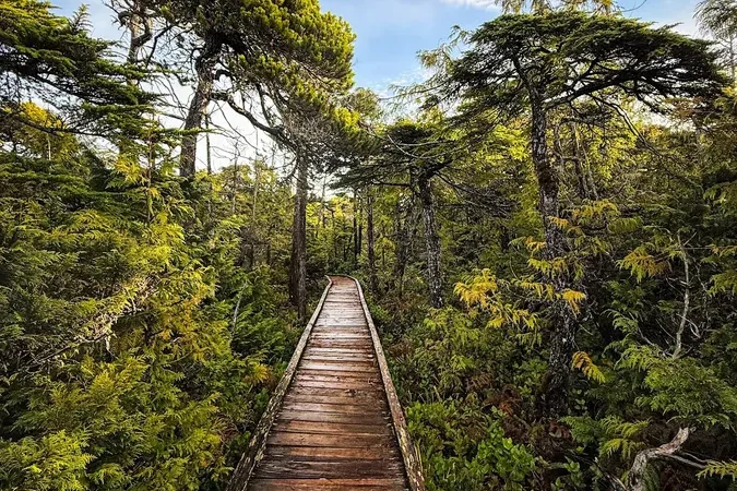 Pacific Rim National Park Reserve