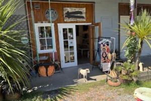 Kay Ceramic and Design