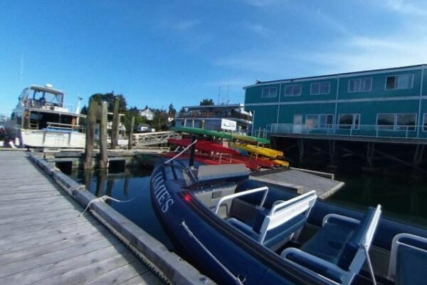 Pioneer Boatworks