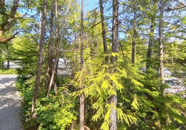 Wild Pacific Trail – Lighthouse Loop